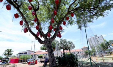 “Natal Encantado” começa dia 1º com chegada do Papai Noel e acendimento das luzes
