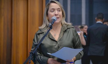 Com hospitais sob pressão, Lia Nogueira pede ampliação do atendimento para casos de Chikungunya