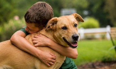 Educação sobre proteção e bem-estar animal passa a ser obrigatória na Reme