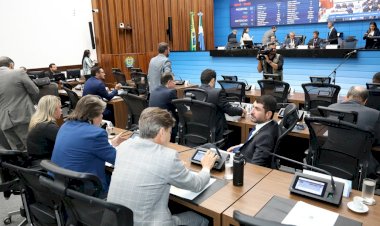 ALEMS vota redação final de projeto que assegura direitos às mães atípicas