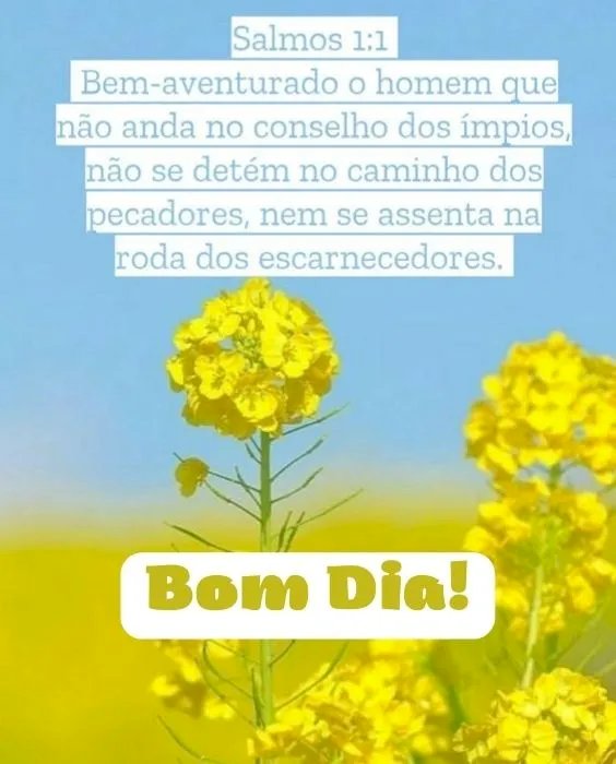 Salmo do dia