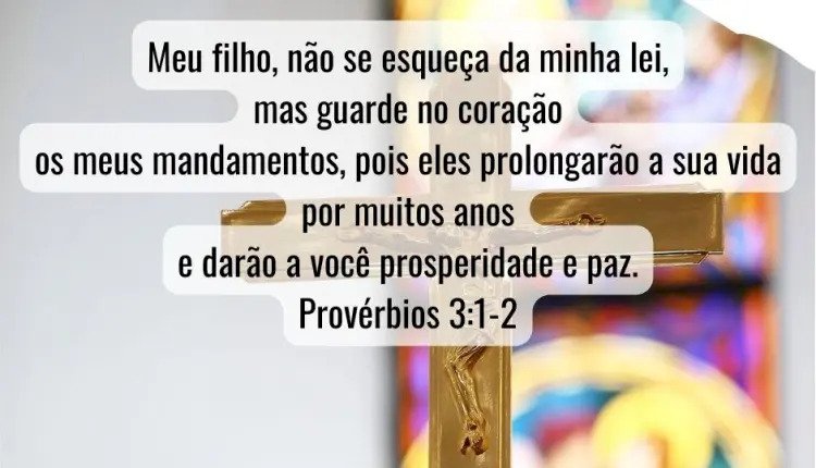 Salmo do dia