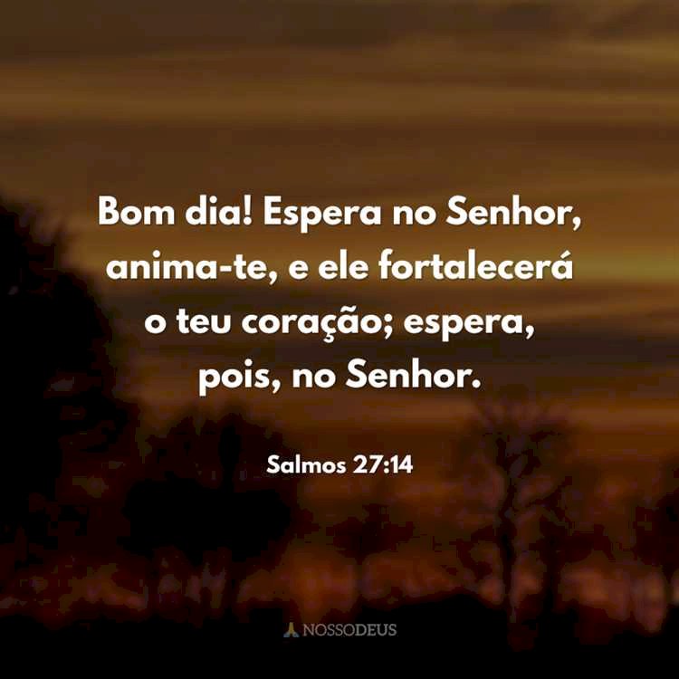 Salmo do dia