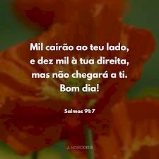 Salmo do dia