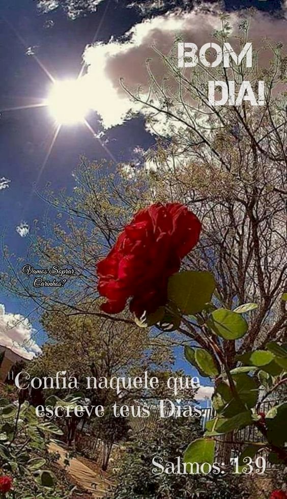 Salmo do dia
