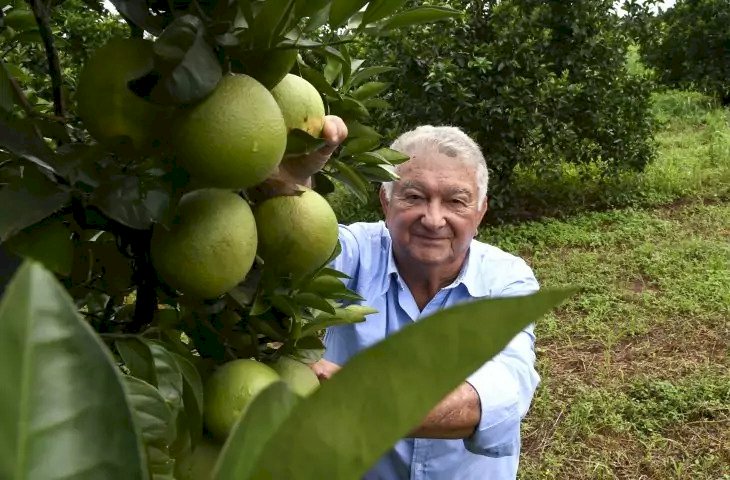 Produtores de laranja encontram em Mato Grosso do Sul ambiente propício e seguro para investir