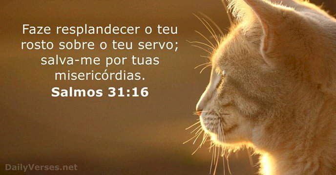 Salmo do dia
