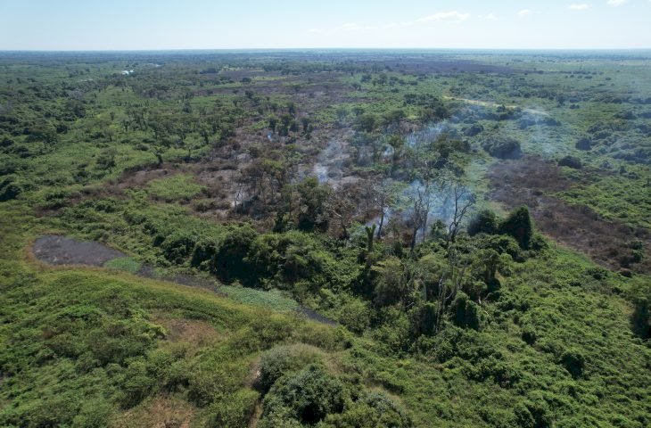 Incêndios florestais no Pantanal e em Naviraí mobilizam bombeiros de MS