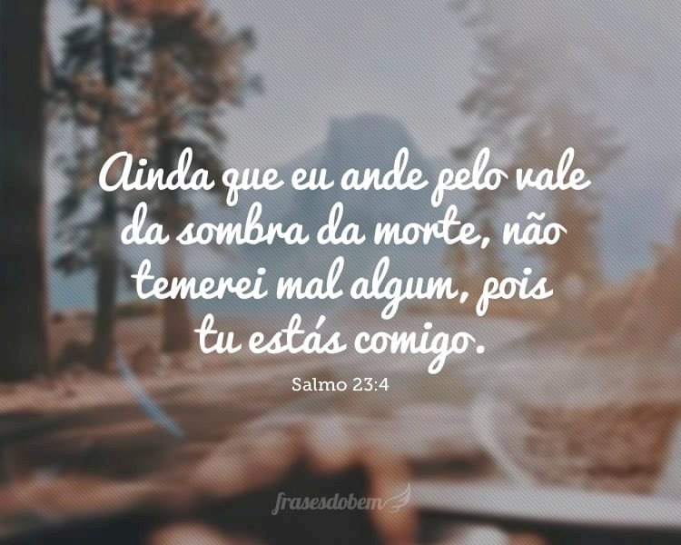 Salmo do dia