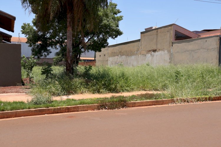 Prefeitura de Dourados dá prazo de 15 dias úteis para limpeza de terrenos baldios