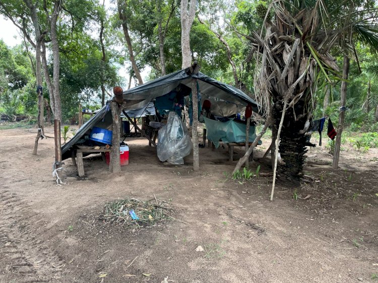 Trabalhadores em situação análoga à escravidão são resgatados em fazenda de Corumbá