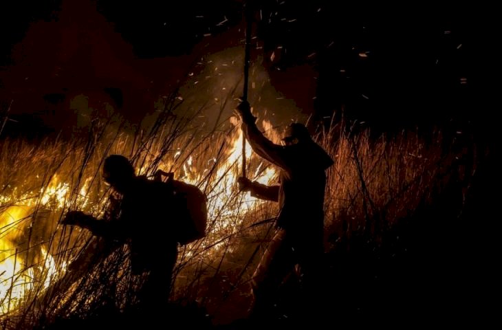 Governo de MS lança edital do PSA Brigadas para fortalecer prevenção e combate a incêndios no Pantanal