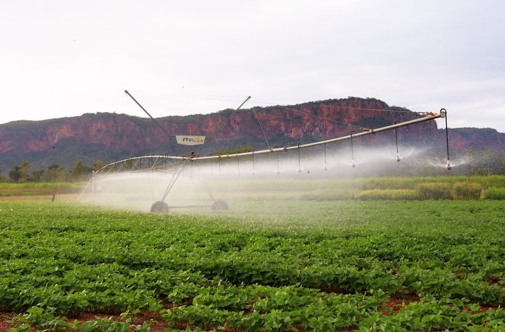 Pantanal Tech MS se consolida como vitrine do agro sustentável, fomento tecnológico e economia criativa
