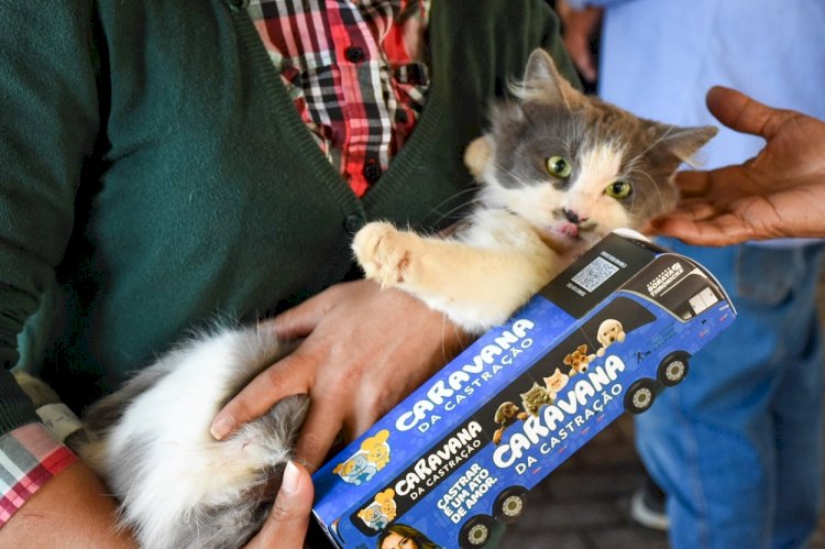 Prefeitura e Estado realizam Caravana da Castração para 1.500 cães e gatos