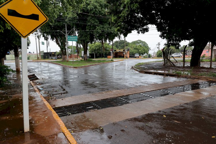 Ações preventivas da prefeitura reduzem quedas de árvores e alagamentos durante temporal