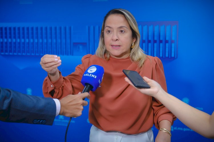 Diante de cenário crítico em Dourados, Lia Nogueira aciona Estado e Município para controle de Chikungunya