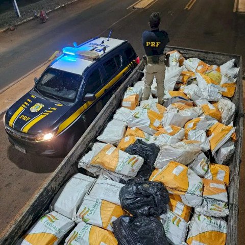 Carga milionária de maconha é descoberta sob sacas de chia