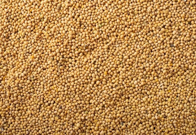 Soja e carne bovina impulsionam superávit de MS